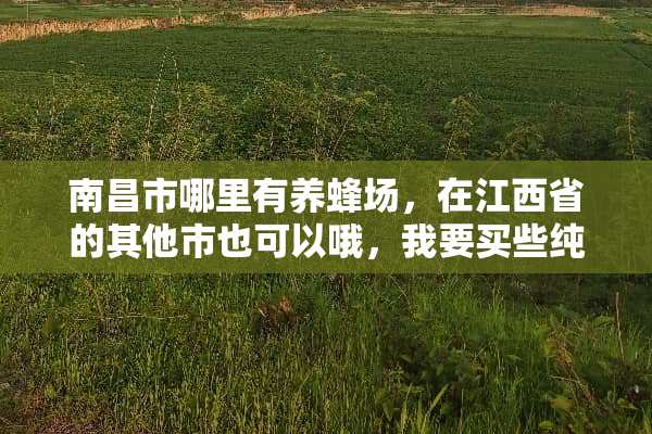 南昌市哪里有养蜂场，在江西省的其他市也可以哦，我要买些纯正的蜂王浆和蜂胶