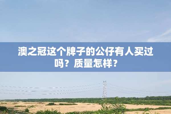 澳之冠这个牌子的公仔有人买过吗？质量怎样？