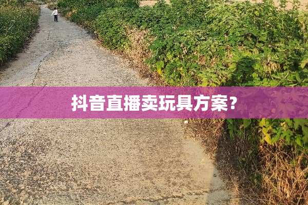 抖音直播卖玩具方案？
