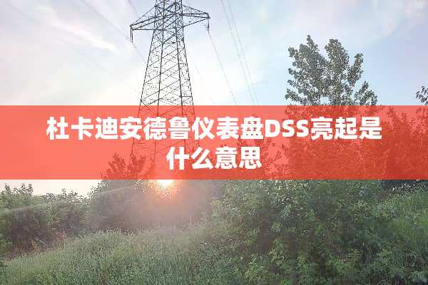 杜卡迪安德鲁仪表盘DSS亮起是什么意思