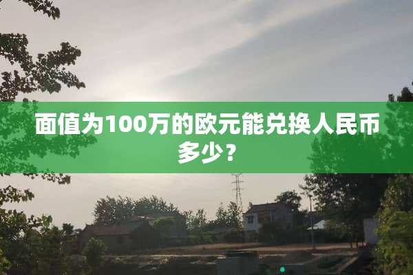 面值为100万的欧元能兑换人民币多少？