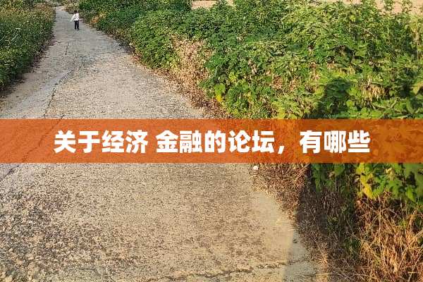 关于经济 金融的论坛，有哪些