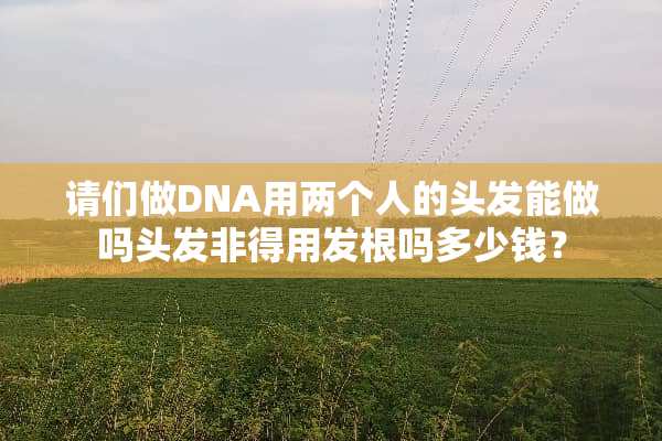 请们做DNA用两个人的头发能做吗头发非得用发根吗多少钱？