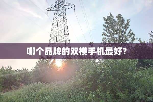 哪个品牌的双模手机最好？