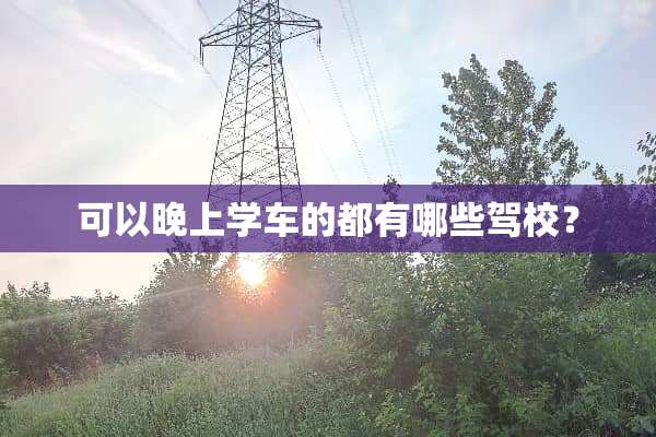 可以晚上学车的都有哪些驾校？