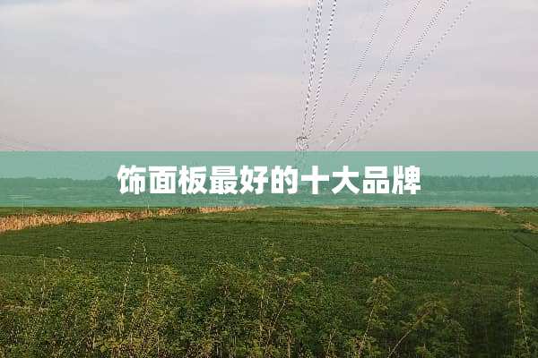饰面板最好的十大品牌