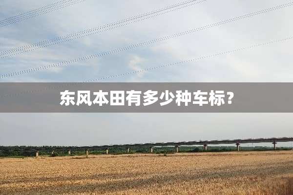 东风本田有多少种车标？