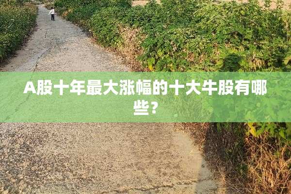 A股十年最大涨幅的十大牛股有哪些？