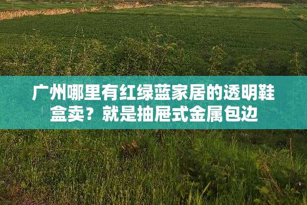 广州哪里有红绿蓝家居的透明鞋盒卖？就是抽屉式金属包边