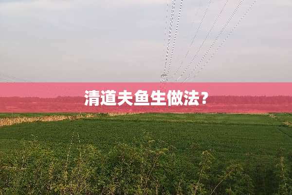 清道夫鱼生做法？