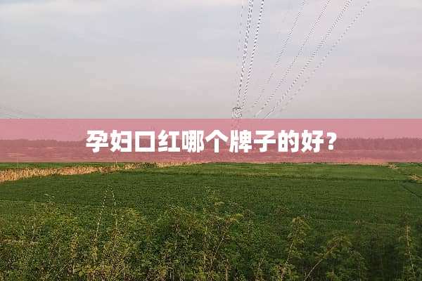孕妇口红哪个牌子的好？