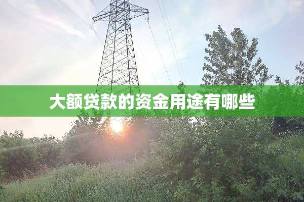 大额贷款的资金用途有哪些