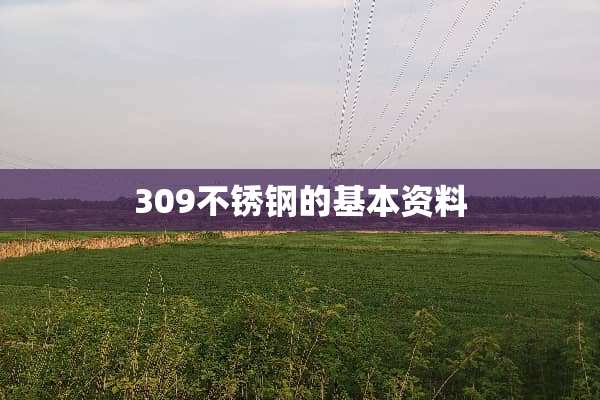 309不锈钢的基本资料