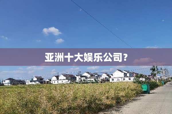 亚洲十大娱乐公司？