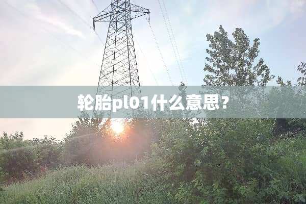 轮胎pl01什么意思？