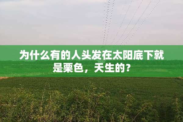 为什么有的人头发在太阳底下就是栗色，天生的？
