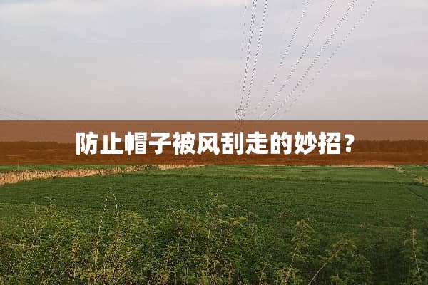 防止帽子被风刮走的妙招？