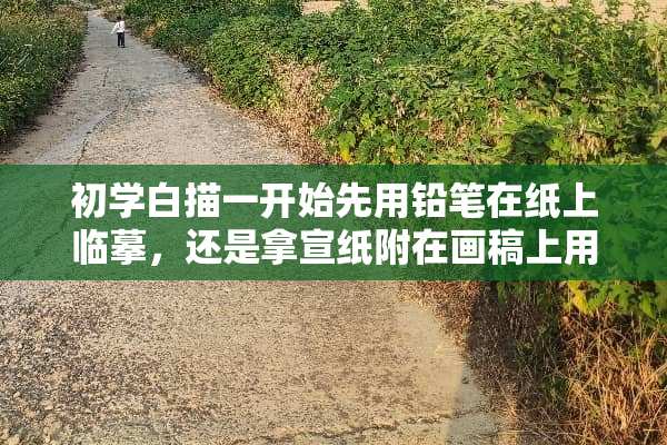 初学白描一开始先用铅笔在纸上临摹，还是拿宣纸附在画稿上用勾线笔描？