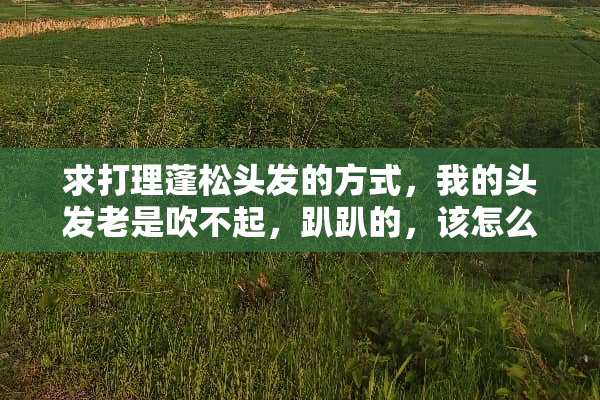 求打理蓬松头发的方式，我的头发老是吹不起，趴趴的，该怎么弄？