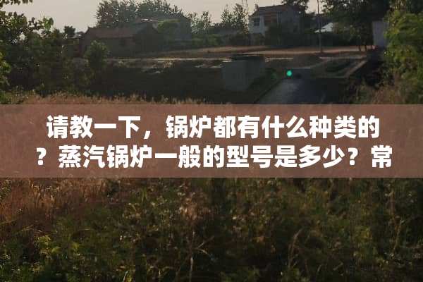 请教一下，锅炉都有什么种类的？蒸汽锅炉一般的型号是多少？常用的有15吨的么？
