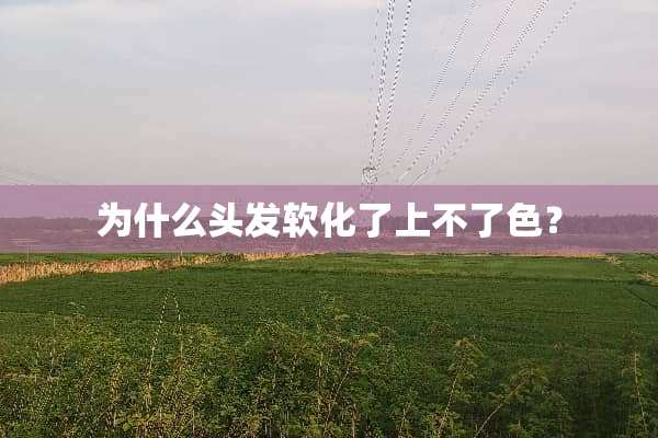 为什么头发软化了上不了色？
