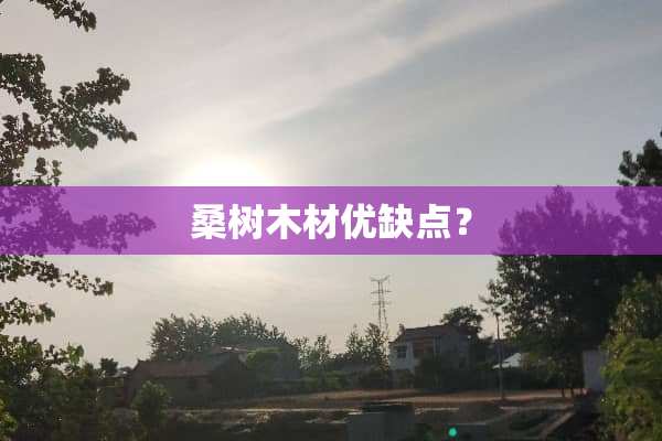 桑树木材优缺点？