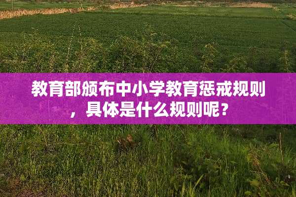 教育部颁布中小学教育惩戒规则，具体是什么规则呢？