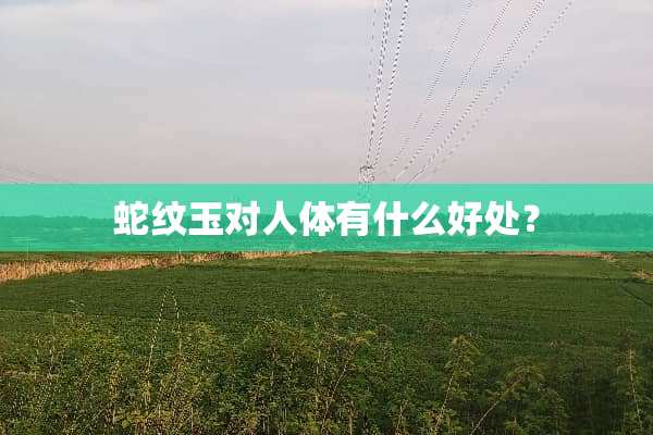 蛇纹玉对人体有什么好处？