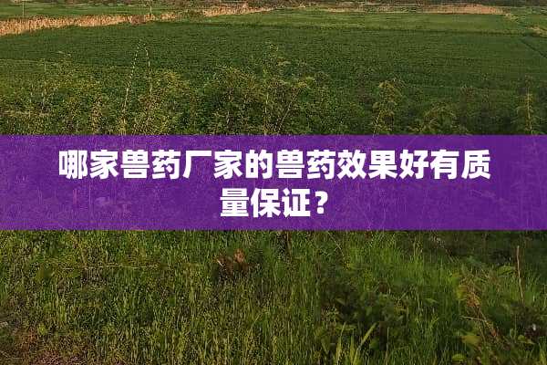哪家兽药厂家的兽药效果好有质量保证？
