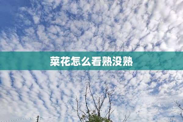 菜花怎么看熟没熟