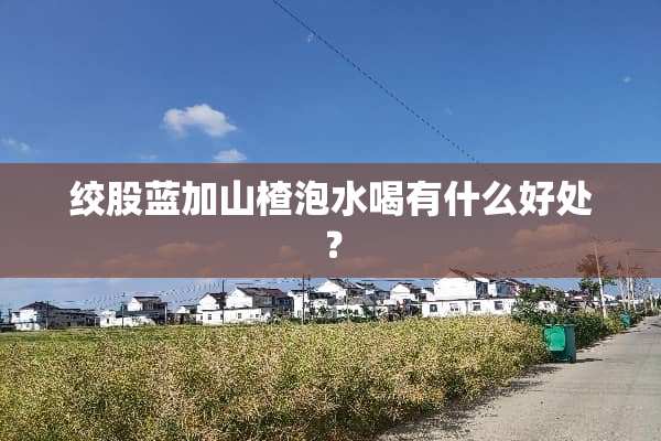 绞股蓝加山楂泡水喝有什么好处？