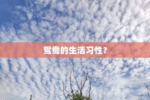 鸳鸯的生活习性？