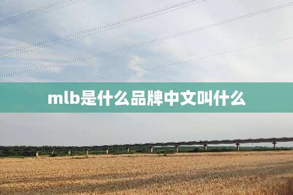 mlb是什么品牌中文叫什么