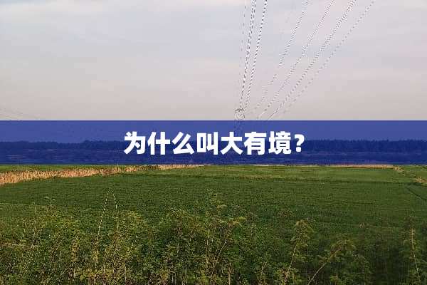 为什么叫大有境？