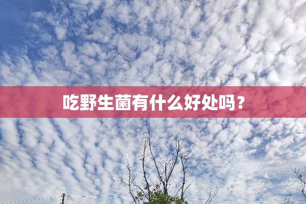 吃野生菌有什么好处吗？