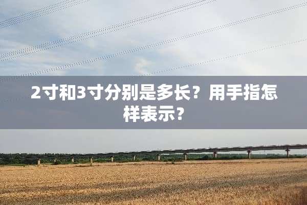 2寸和3寸分别是多长？用手指怎样表示？