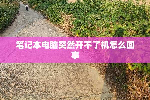 笔记本电脑突然开不了机怎么回事