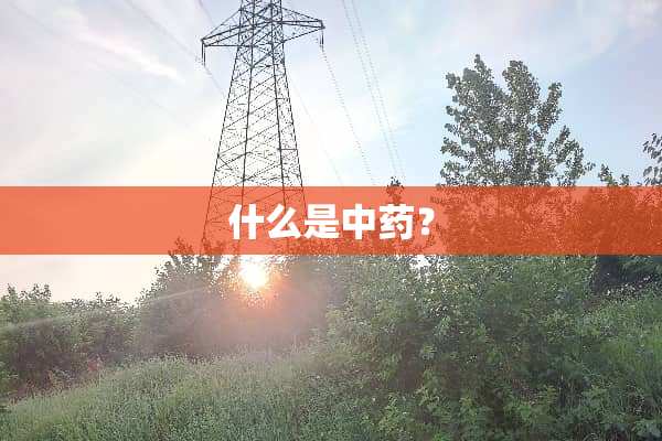 什么是中药？