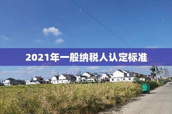 2021年一般纳税人认定标准