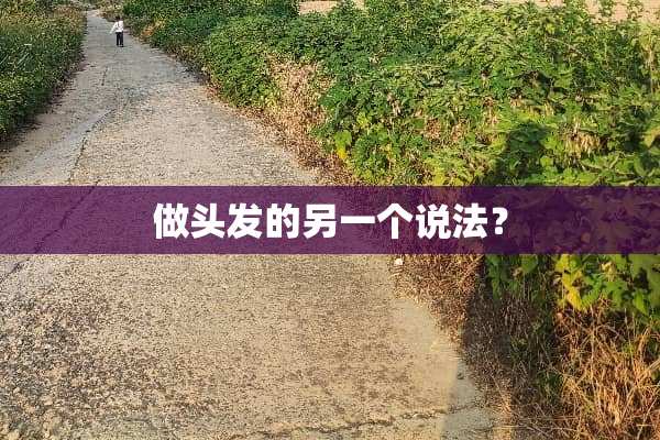 做头发的另一个说法？