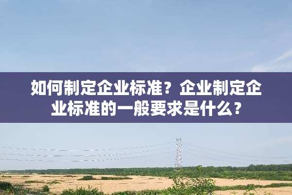 如何制定企业标准？企业制定企业标准的一般要求是什么？