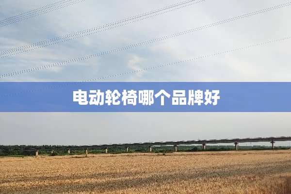 电动轮椅哪个品牌好
