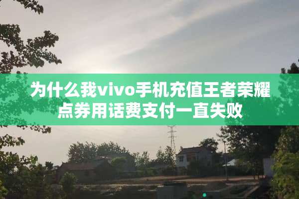 为什么我vivo手机充值王者荣耀点券用话费支付一直失败