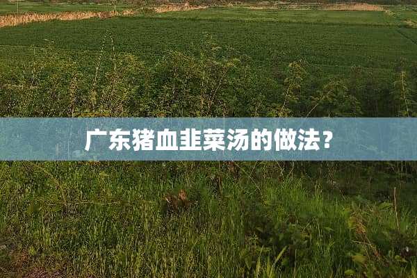广东猪血韭菜汤的做法？