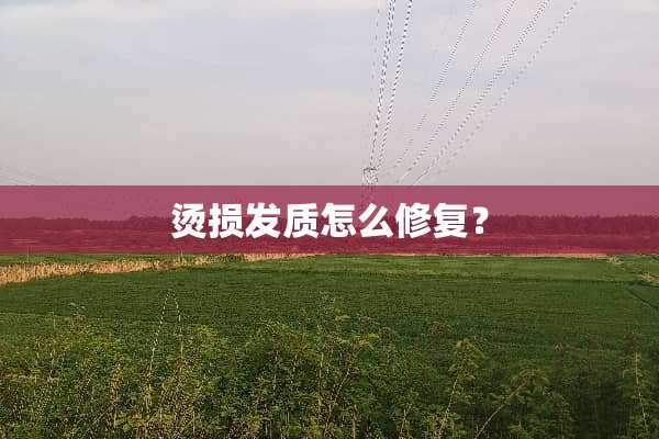 烫损发质怎么修复？