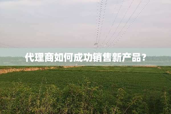 代理商如何成功销售新产品？