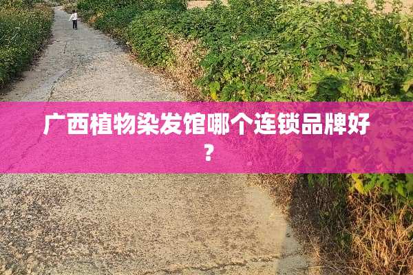 广西植物染发馆哪个连锁品牌好？