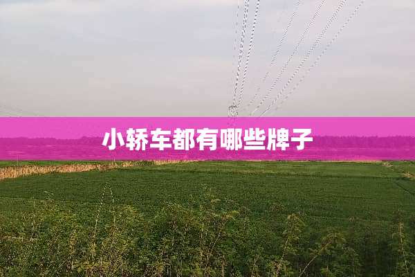 小轿车都有哪些牌子