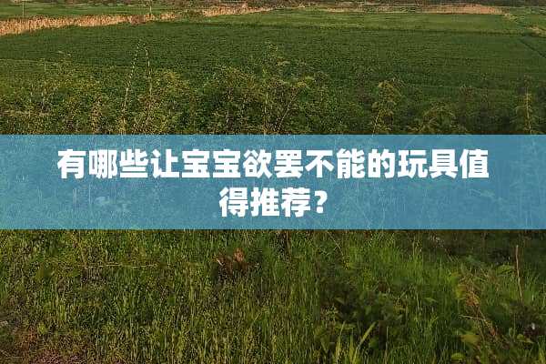 有哪些让宝宝欲罢不能的玩具值得推荐？