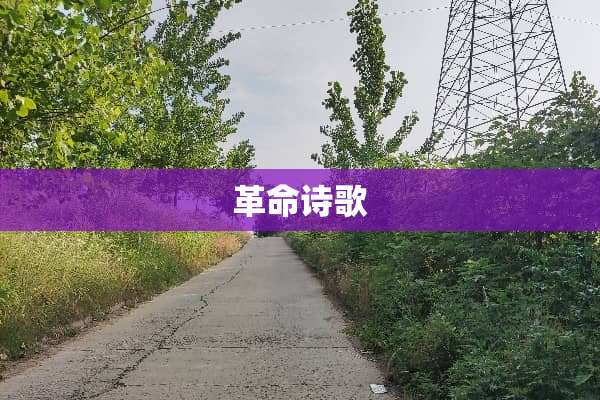 **诗歌